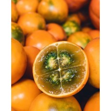 Naranjilla