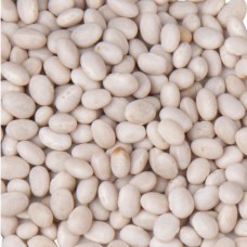 Navy Beans