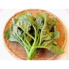 New Zealand Spinach