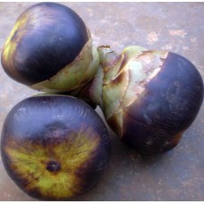 Nungu