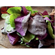 Orach