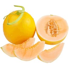 Orient Melon