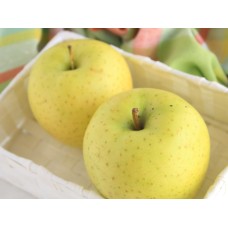 Orin Apple
