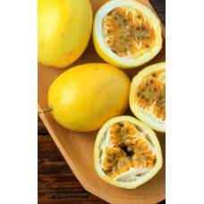 Passionfruit