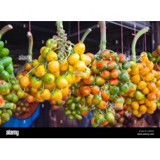 Peach Palm Fruit