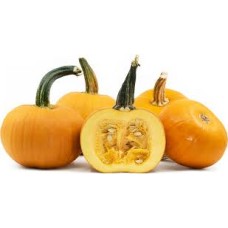 Pie Pumpkin