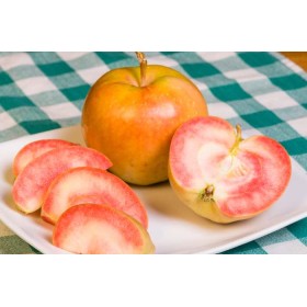 Pink Pearl Apple