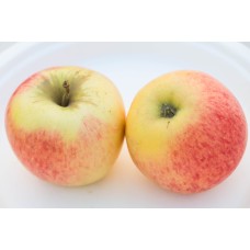 Pinova Apple