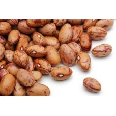 Pinto Bean