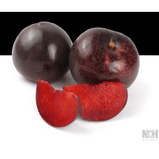 Plumcot