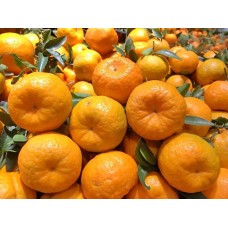 Ponkan Fruit