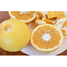 Poorman Orange