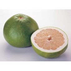 Pummelo