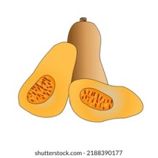 Quararibea Cordata