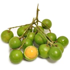 Quenepa