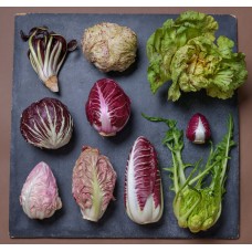 Radicchio
