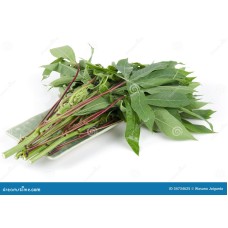 Roselle Leaves