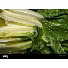 Seakale Beet
