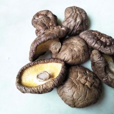 Shiitake Mushroom