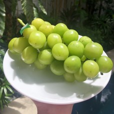 Shine Muscat