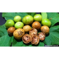 Spanish Tamarind