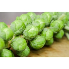 Sprouts