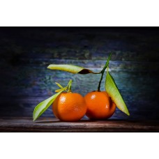 Tachibana Orange