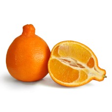 Tangelo