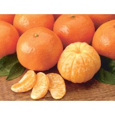 Tangerillo
