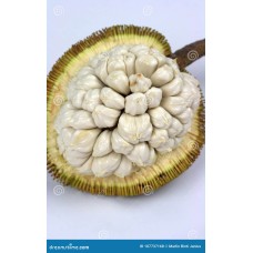 Tarap