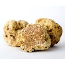 Truffle
