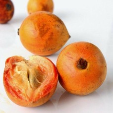 Udara