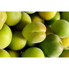 Ume
