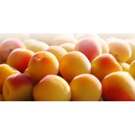 Ume Plums