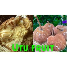 Utu