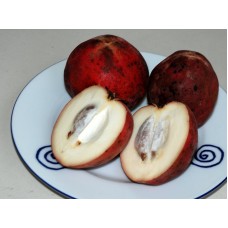 Velvet Apple