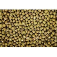 Vigna Radiata