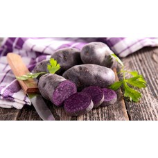 Vitelotte