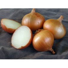 Walla Walla Sweet Onion