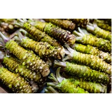 Wasabi