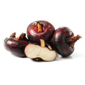 Water Chestnut