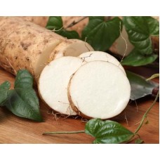 Water Yam