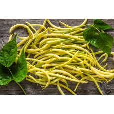 Wax Bean