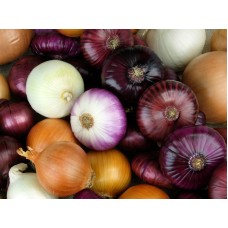 White Onion