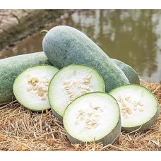 Wintermelon