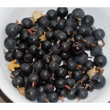 Worcester Berry