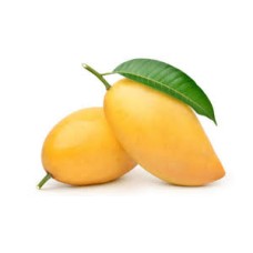 Xoài