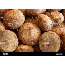 Yam Bean