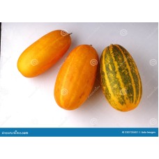 Yellow Cucumber