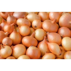 Yellow Onion